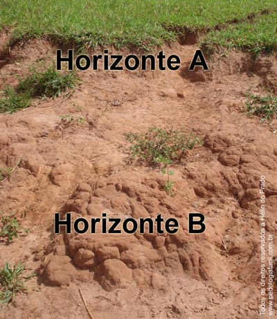 Figura 1. Horizonte B aflorando na superfície.