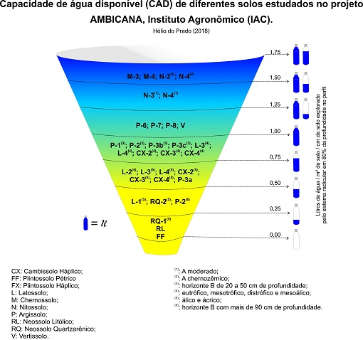 Figura 1. Capacidade de água disponível em diferentes solos estudados no projeto AMBICANA.