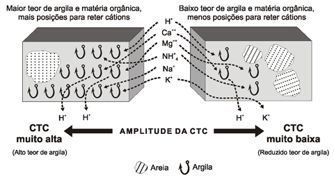 Figura 1. DiferenÃ§as de capacidade de troca de cÃ¡tions em dois tipos de solos .