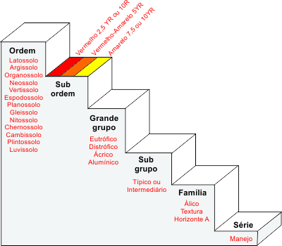 Figura 1. Hierarquia da classificação de solos da SiBCS (2006).