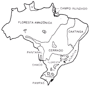 Figura 1.RegiÃµes vegetacionais do Brasil (CALDAS et al, 1978).