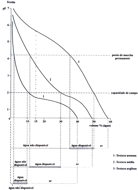 Figura 3.Curva de retenÃ§Ã£o de Ã¡gua nos solos com baixo, mÃ©dio e alto teor de argila (DIJKERMAN,1981).