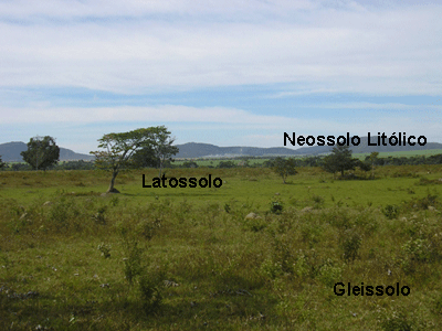 Figura 3. Solos na paisagem da usina Jalles Machado de GoianÃ©sia (GO). 