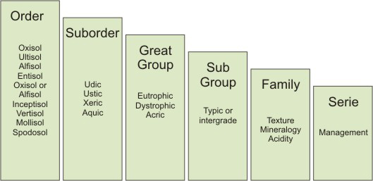 Figura 2. Hierarquia do Sistema Americano de Classificação de Solos.