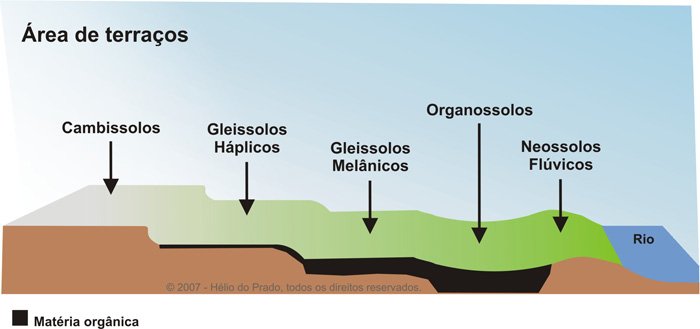Figura 1. Solos-paisagens nas várzeas e terraços do Brasil.
