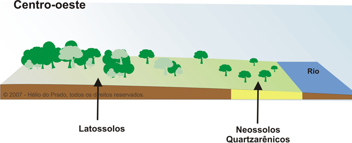 Figura 10. Solos-paisagens na região centro-oeste do Brasil.