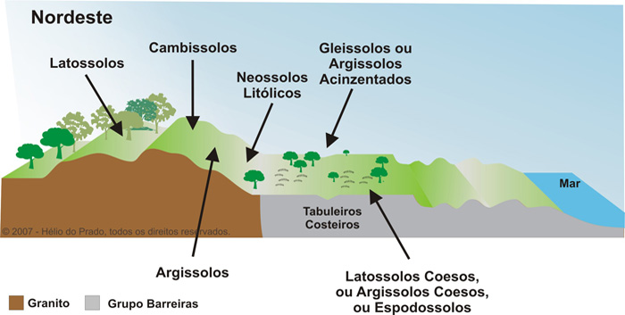 Figura 8. Solos-paisagens na região nordeste do Brasil.