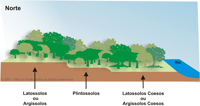Figura 7. Solos-paisagens na região norte do Brasil.