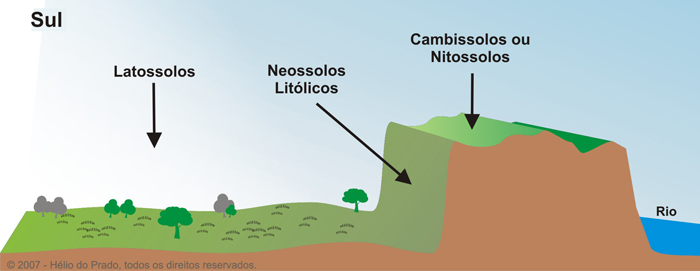 Figura 5. Solos -paisagens na região sul do Brasil.